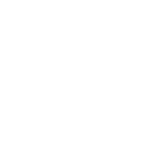 BusinessJournal2020